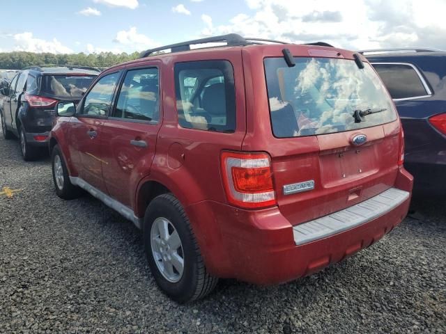 2010 Ford Escape XLS