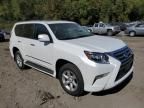 2017 Lexus GX 460