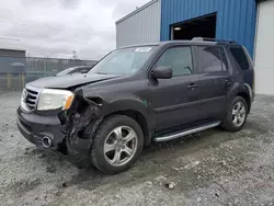 Salvage cars for sale at Elmsdale, NS auction: 2012 Honda Pilot EXL