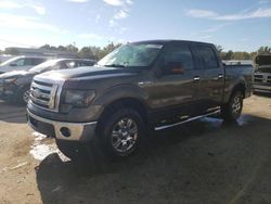 Ford Vehiculos salvage en venta: 2009 Ford F150 Supercrew