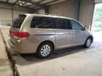 2008 Honda Odyssey EXL