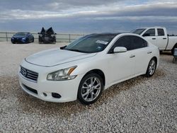 Nissan salvage cars for sale: 2013 Nissan Maxima S