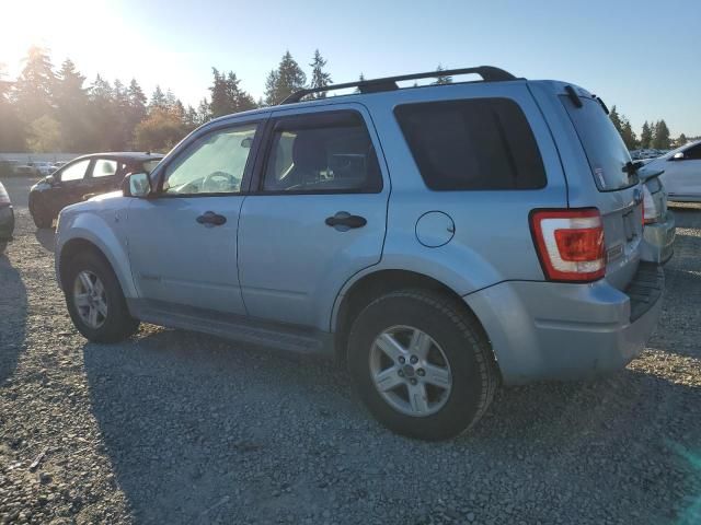 2008 Ford Escape HEV