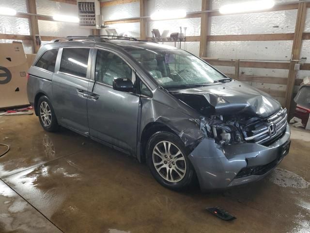 2013 Honda Odyssey EXL