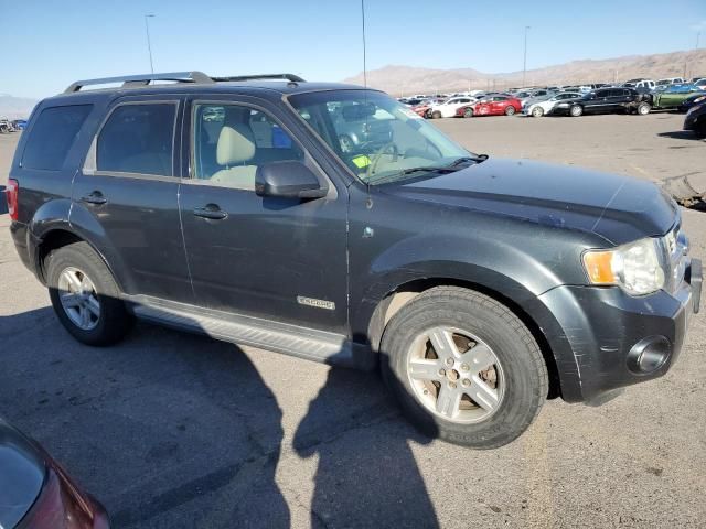 2008 Ford Escape HEV