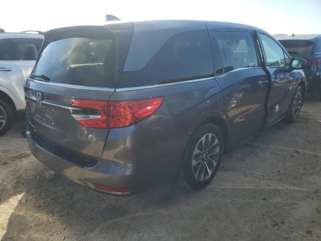 2024 Honda Odyssey EXL