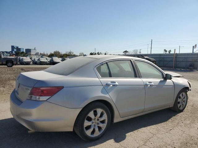 2010 Honda Accord EXL