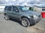 2005 Ford Escape XLT