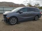 2023 Honda Odyssey EXL