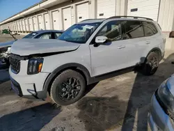 Salvage cars for sale at Louisville, KY auction: 2024 KIA Telluride SX