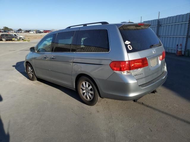 2010 Honda Odyssey EXL