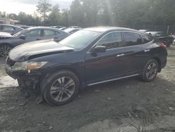 Honda Crosstour Vehiculos salvage en venta: 2013 Honda Crosstour EXL