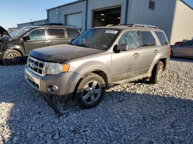 2010 Ford Escape Limited