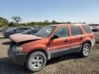 2006 Ford Escape XLT