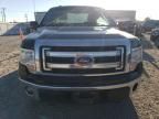 2014 Ford F150