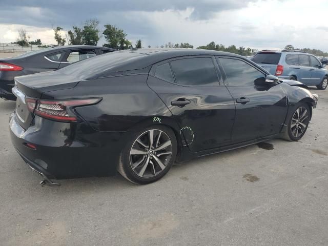 2019 Nissan Maxima S