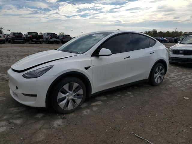 2020 Tesla Model Y