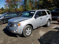 Salvage cars for sale at Candia, NH auction: 2009 Ford Escape XLT