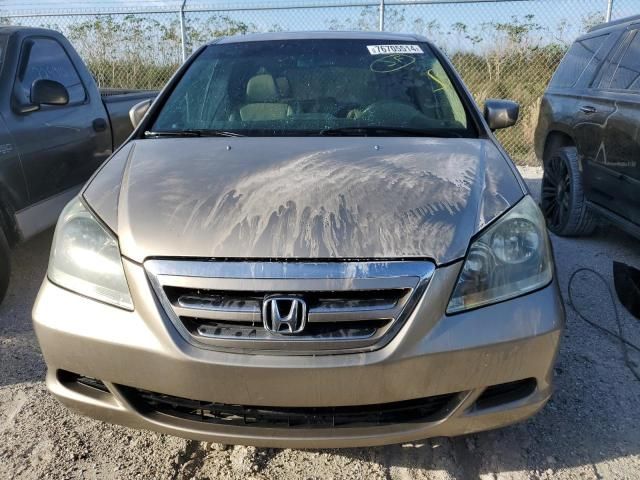 2005 Honda Odyssey EXL