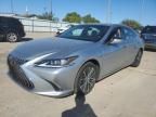 2022 Lexus ES 350 Base