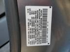 2009 Honda Odyssey EXL