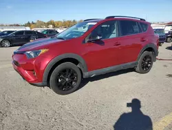 Toyota salvage cars for sale: 2018 Toyota Rav4 Adventure