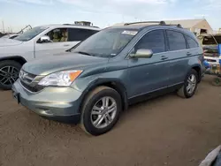 Salvage cars for sale at Brighton, CO auction: 2010 Honda CR-V EXL