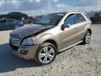 2009 Mercedes-Benz ML 350