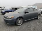 2009 Scion TC