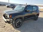 2015 Jeep Renegade Sport