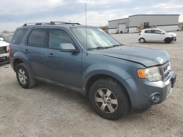 2010 Ford Escape Limited