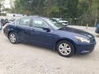 2010 Honda Accord LXP