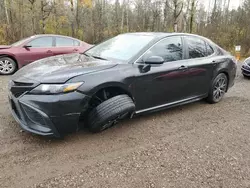 Toyota salvage cars for sale: 2021 Toyota Camry Night Shade