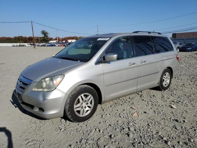 2006 Honda Odyssey EXL