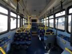 2005 Gillig Transit Bus Low