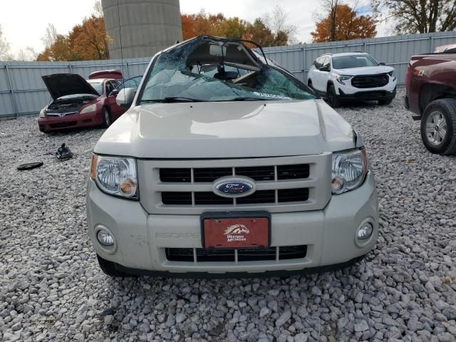 2008 Ford Escape Limited