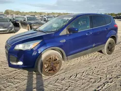 Carros dañados por inundaciones a la venta en subasta: 2016 Ford Escape SE