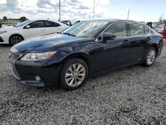 2013 Lexus ES 300H