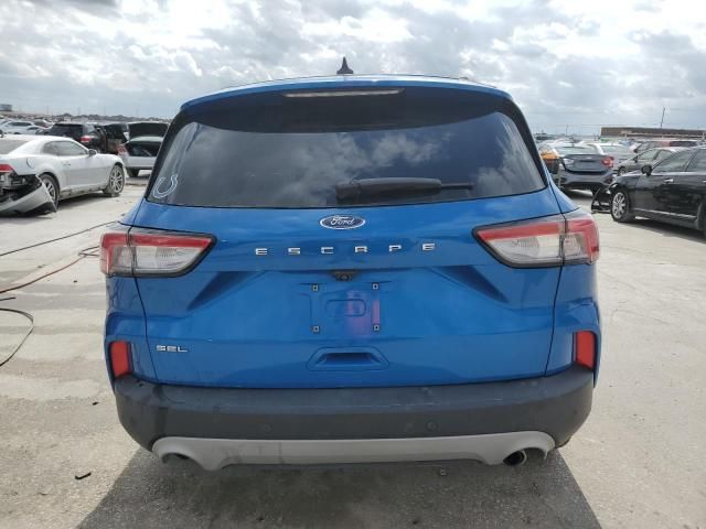 2021 Ford Escape SEL