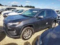 Salvage cars for sale from Copart Arcadia, FL: 2024 Toyota Rav4 XLE Premium