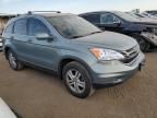 2010 Honda CR-V EXL