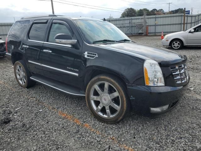 2011 Cadillac Escalade Luxury