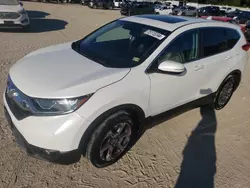 Salvage cars for sale at Hampton, VA auction: 2019 Honda CR-V EXL