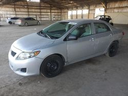 Toyota Vehiculos salvage en venta: 2009 Toyota Corolla Base