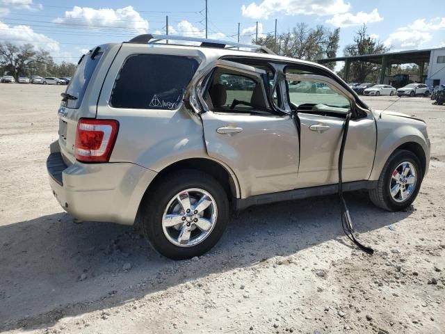 2011 Ford Escape Limited