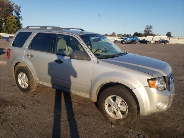 2009 Ford Escape XLT