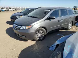 Vehiculos salvage en venta de Copart Brighton, CO: 2014 Honda Odyssey EXL