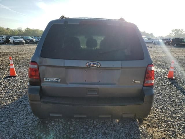 2010 Ford Escape XLT