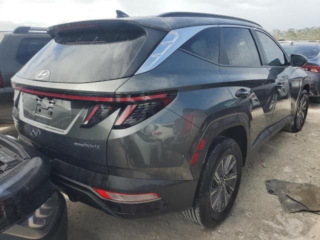 2022 Hyundai Tucson Blue