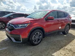 2021 Honda CR-V EX en venta en Arcadia, FL